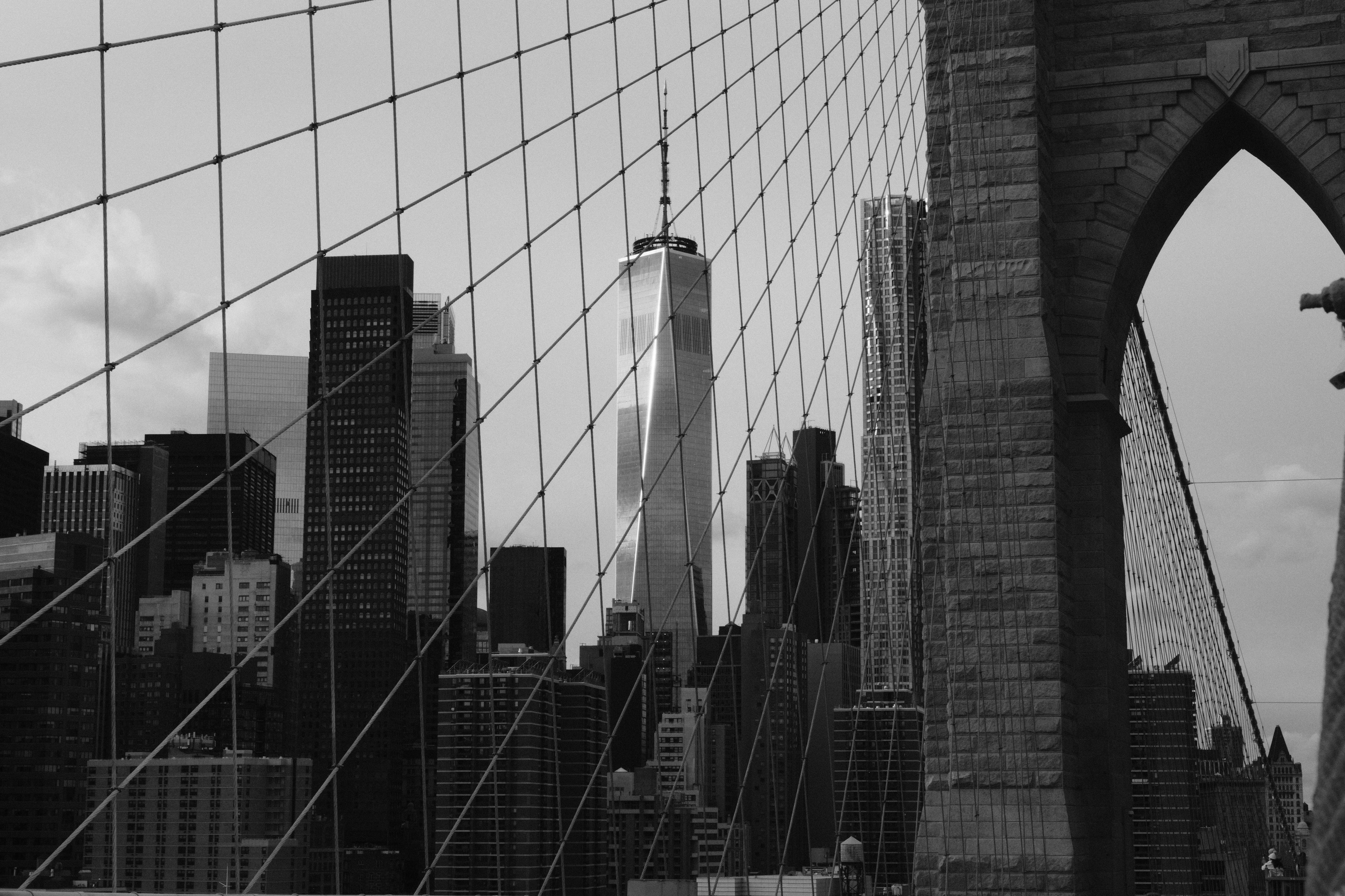 pexels-miguel-rivera-2150485053-34805147